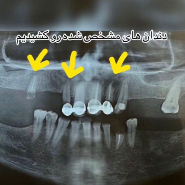 WhatsApp Image 2025-08-25 at 00.28.52_cba0bfd1