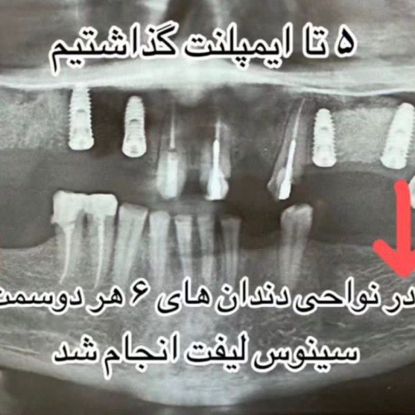 WhatsApp Image 2025-08-25 at 00.28.53_4da6f31a